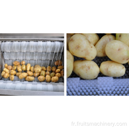 Éplucheur de pommes de terre à brosse automatique efficace élevée